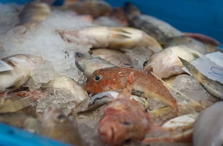 Рыбная биржа в Кальпе