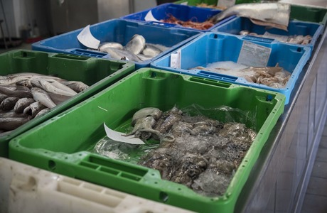 Рыбная биржа в Кальпе