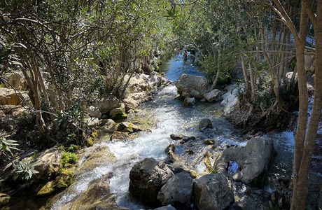 Водопады Альгара