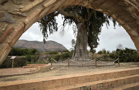 Llavador de la Rana